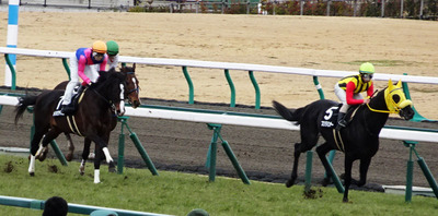 DSC00863