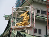 しゃちほこ降下中