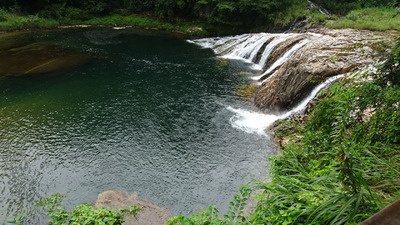 DSC01537