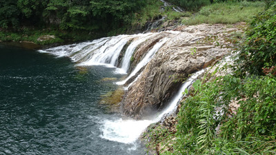 DSC01546