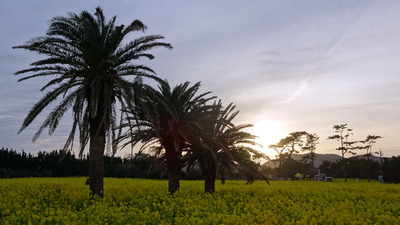 DSC00540