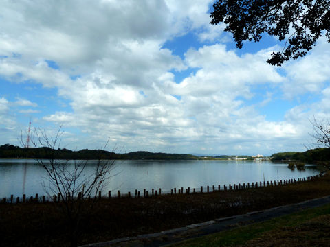 P1170121
