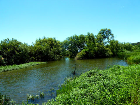 P1170021