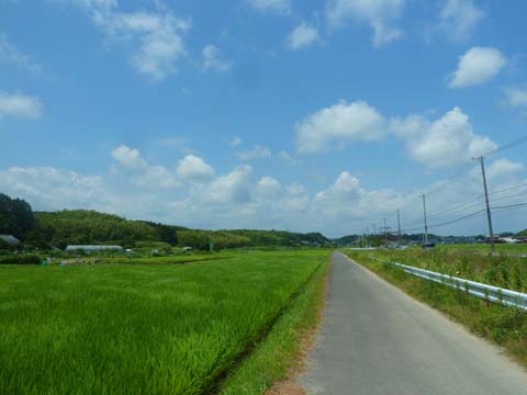P1160955