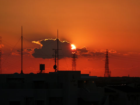 夕日4