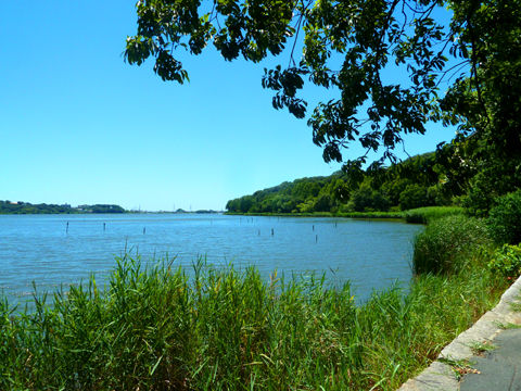 P1170022