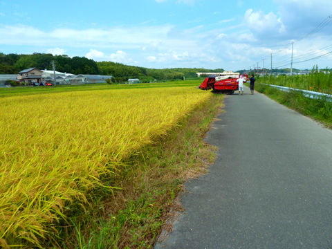 P1170096