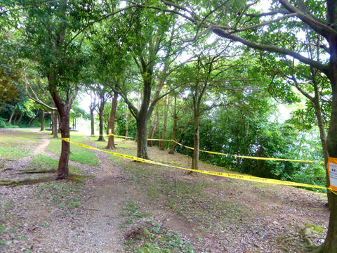 P1170095