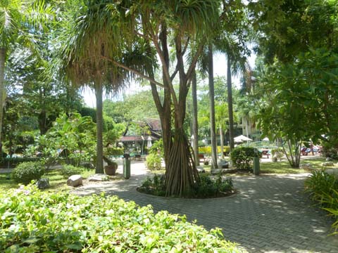 Green Park6