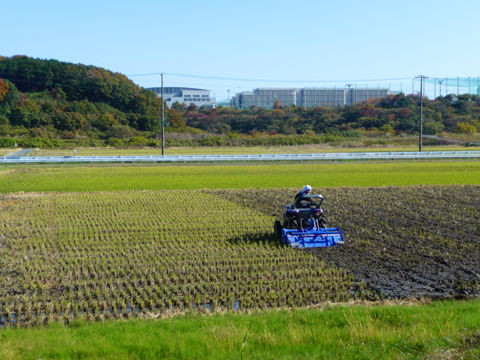 P1000595