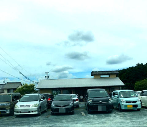 野のか