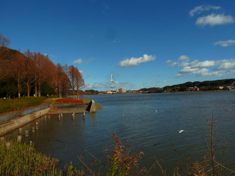 P1160600