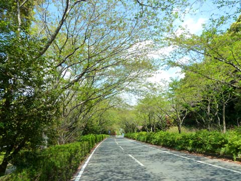 P1160872