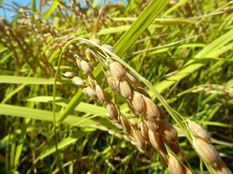 P1170076