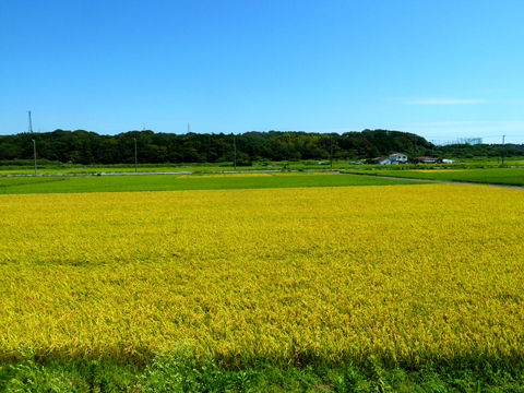 P1170080