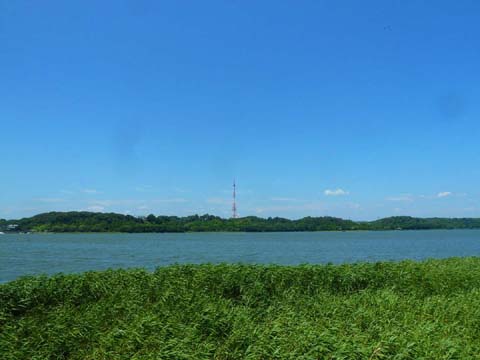 P1160415