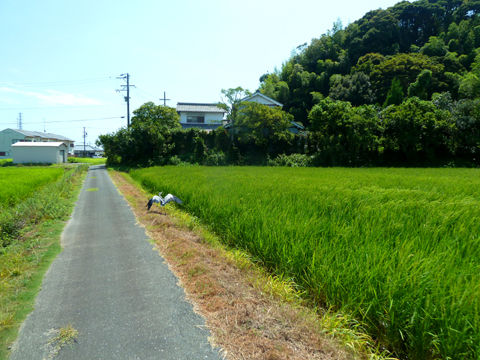 P1170033