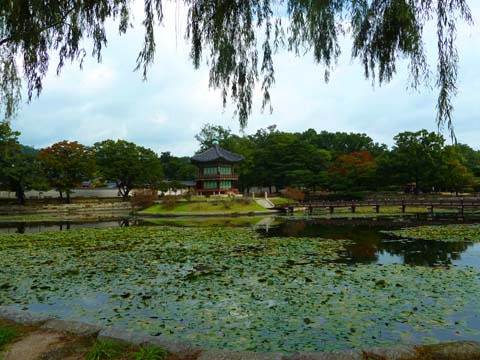 10月3〜5 (78)
