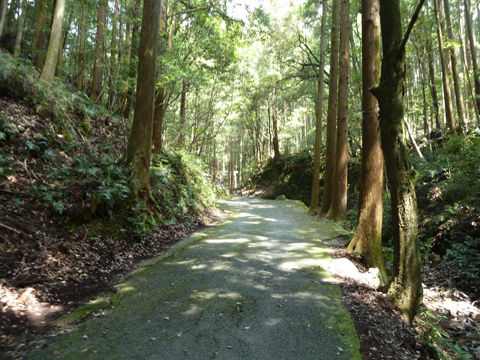 天の岩戸2
