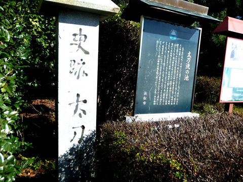 P1000572