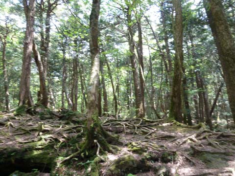 風穴流れ旅18