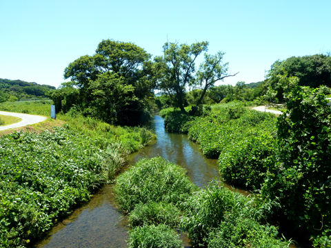P1170020