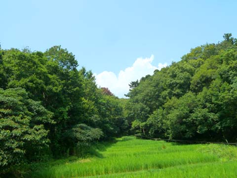 P1160985