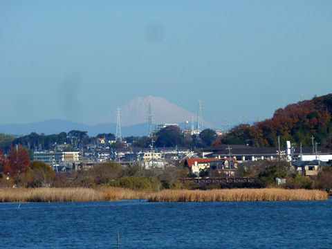 P1160596