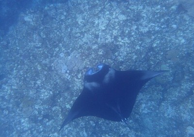 image2 (8)