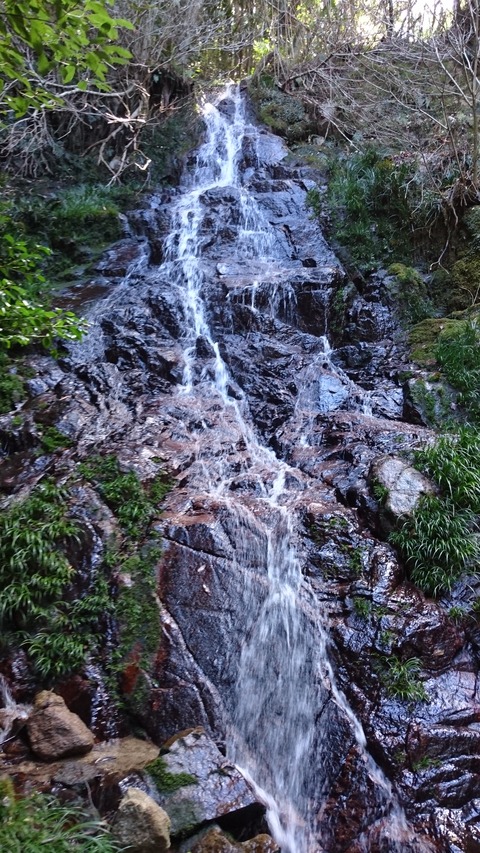 DSC_0424