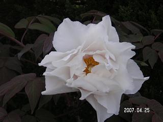2e086fc6.jpg