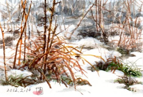 12草むらに残り雪237