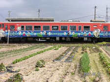 d15bb636.jpg