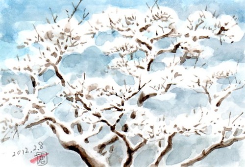 12雪のもみじ229