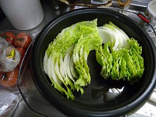 DSCN1515