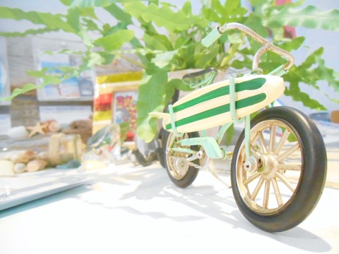 DSCN0045