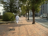 自宅そばの散歩道(美術館横)