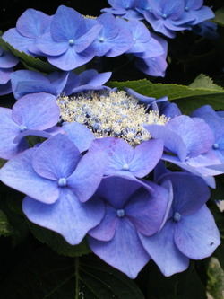 f88e44a8.jpg
