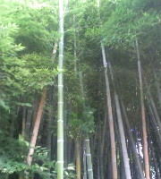 20100827_0530