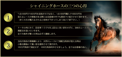 シャイニングホース