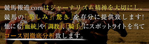 競馬報道