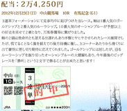 馬券フォーカス有馬記念的中