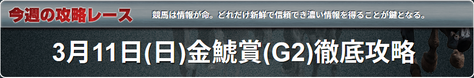 馬生金鯱賞