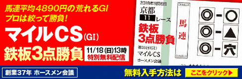 ¥Û¡¼¥¹¥á¥ó²ñµÄ¡§¥Þ¥¤¥ëCS490_160