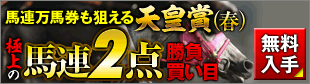 シンクタンク天皇賞春