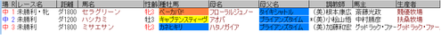 藤田菜七子3月12日