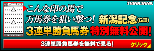 シンクタンク新潟記念