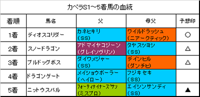 カペラステークス2017結果