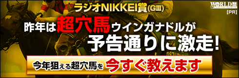 ワールド:ラジオNIKKEI賞490-160