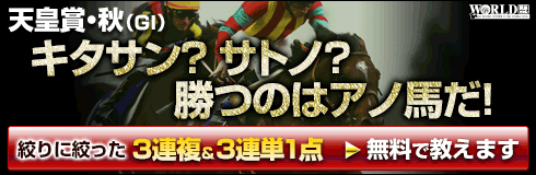 ワールド:天皇賞秋490-160
